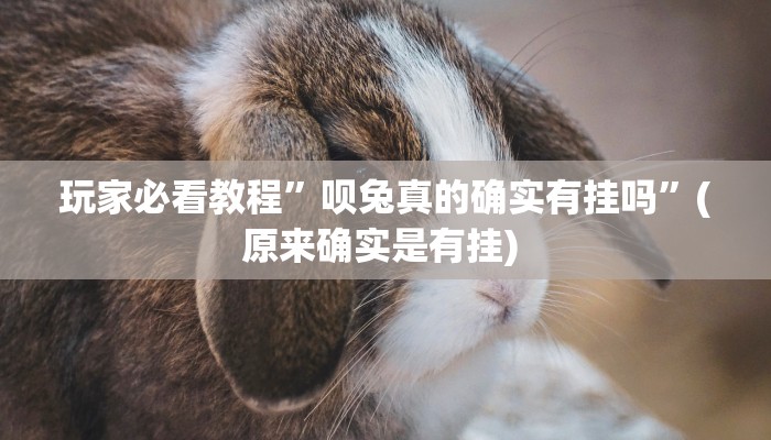 实测教程”WePoker透视挂有没有用”确实真的有挂
