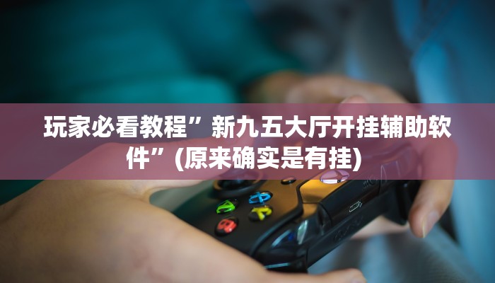 实测教程”Winner助赢神器”确实真的有挂