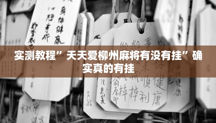 实测教程”口袋上饶挂怎么安装”确实真的有挂