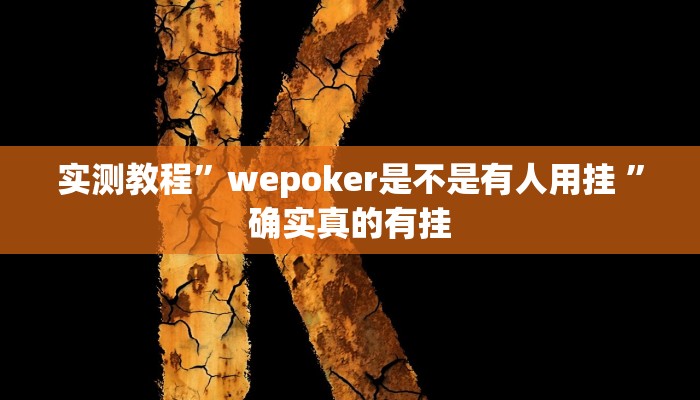 辅助神器“杭州都莱开挂神器”详细开挂教程