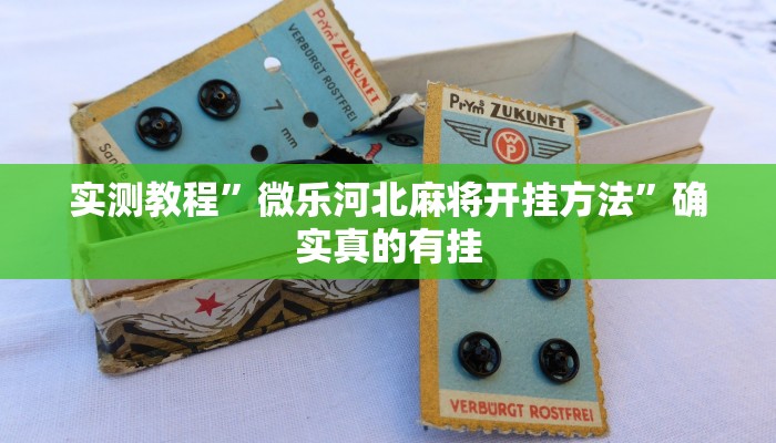 辅助神器“微乐捉老麻子开挂神器”详细开挂教程