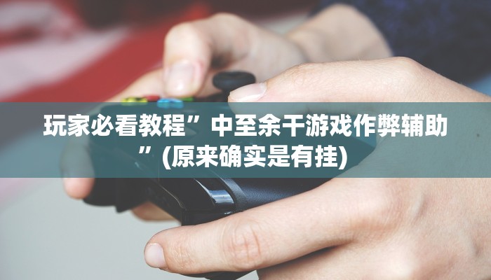 实测教程”胜奕填大坑透视软件”确实真的有挂