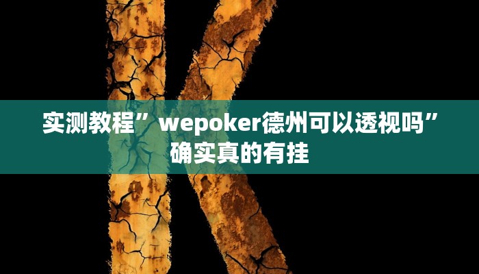 开挂辅助工具“阳光巴厘岛开挂辅助软件”详细开挂教程