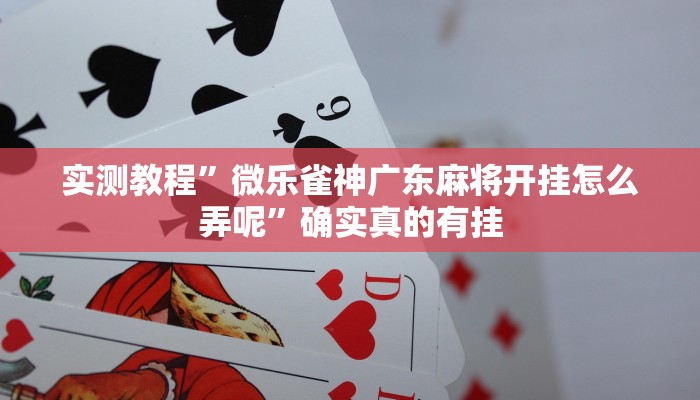 实测教程”菜鸟麻将挂怎么安装”确实真的有挂
