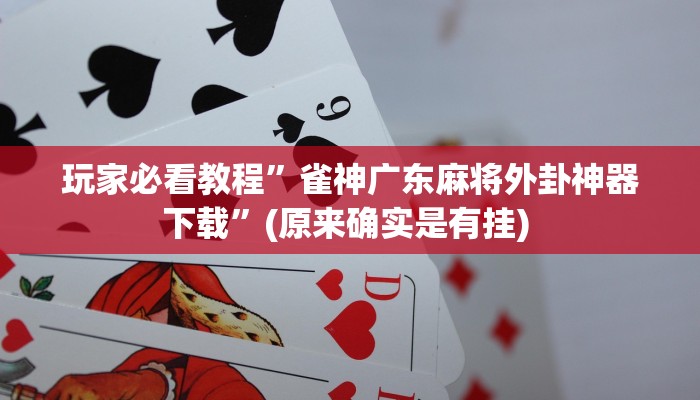 实测教程”新科乐棋牌辅助开挂”确实真的有挂