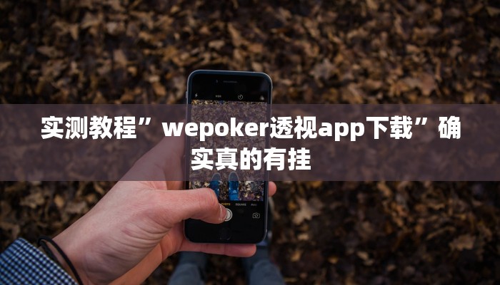 辅助神器“新大海互娱拼三张透”详细开挂教程