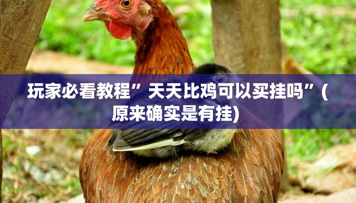 实测教程”微信斗牛开挂教程”确实真的有挂