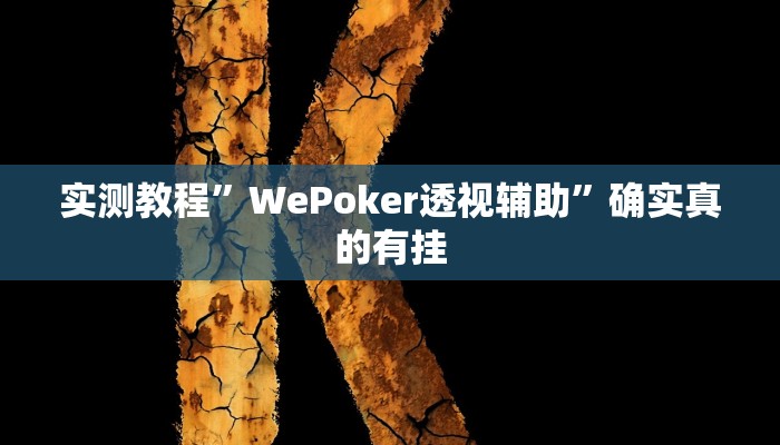 开挂辅助工具“点点长牌透视挂的软件”其实确实有挂