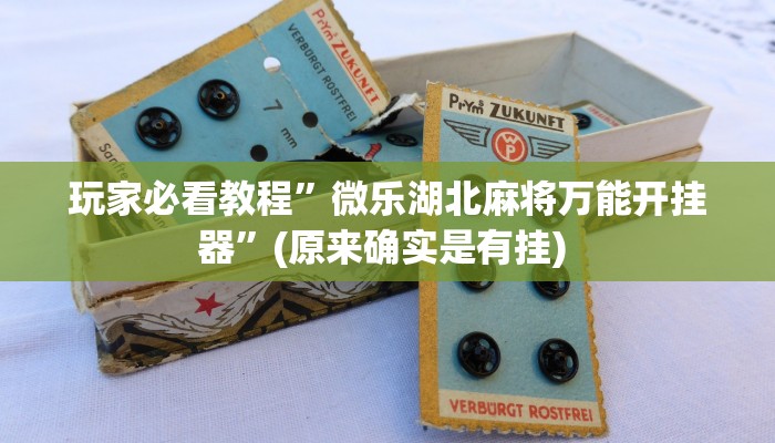 开挂辅助工具“哈哈贵阳捉鸡麻将特点开挂”详细开挂教程