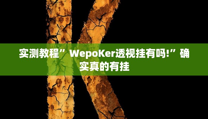 实测教程”跑得快16张开挂神器”确实真的有挂