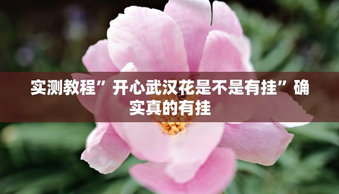 实测教程”烛龙大厅有透视挂吗”确实真的有挂