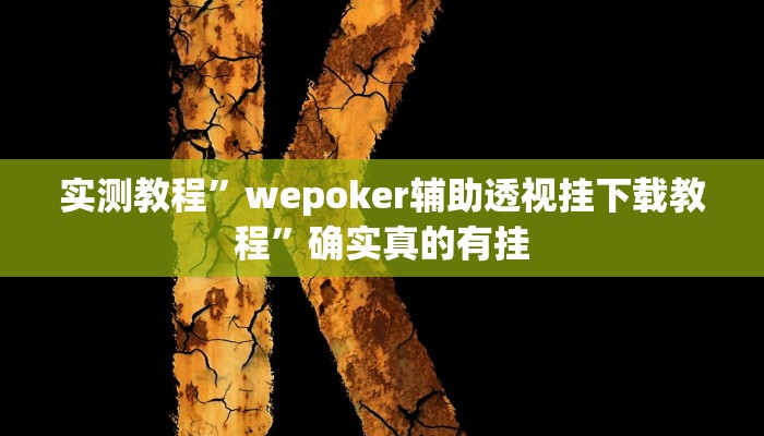 实测辅助”花城牌舍辅助器软件”详细开挂教程