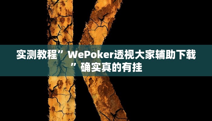 实测教程”WePoker私人局透视挂作弊辅助方法”确实真的有挂
