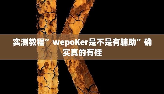 实测辅助”加个菜十三水开挂神器”详细开挂教程