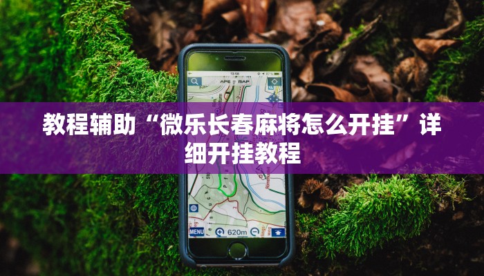 实测辅助”云龙干瞪眼麻将开卦神器”其实确实有挂