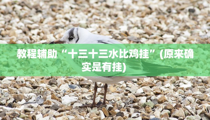 辅助神器“新漫游正版可以透视吗”其实确实有挂