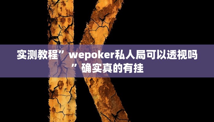 实测教程”德扑之星辅助下载”确实真的有挂