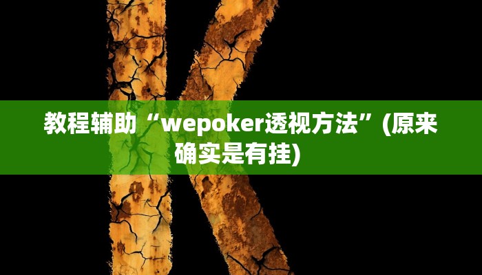 辅助神器“中至吉安辅助挂下载”其实确实有挂