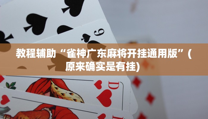 实测辅助”经典联盟万能挂”详细开挂教程