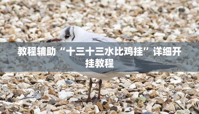 实测教程”[德扑之星]究竟透视挂真的假的”确实真的有挂