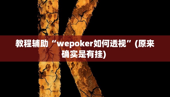 开挂辅助工具“微乐陕西麻将开挂版本软件”详细开挂教程