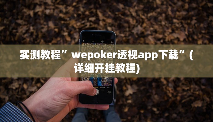 实测教程”WePoker透视挂真的吗”确实真的有挂