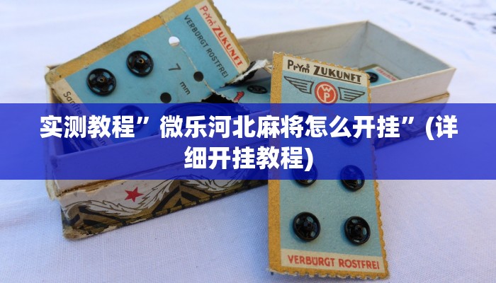 实测辅助”中至九江讨赏辅助软件”其实确实有挂