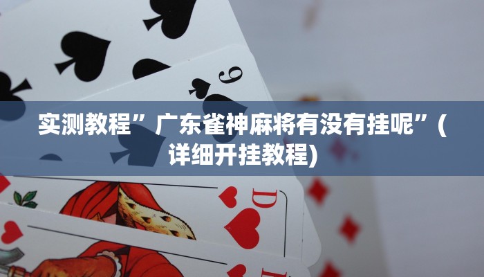辅助神器“今日长牌开挂作弊”详细开挂教程