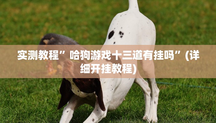 开挂辅助工具“吉祥填大坑透视软件”其实确实有挂