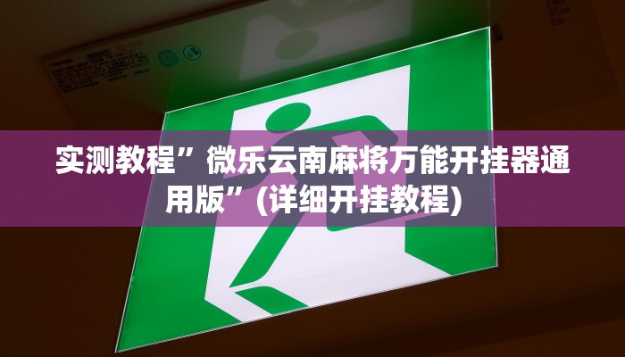 实测教程”WePoker透视挂作弊辅助方法”确实真的有挂
