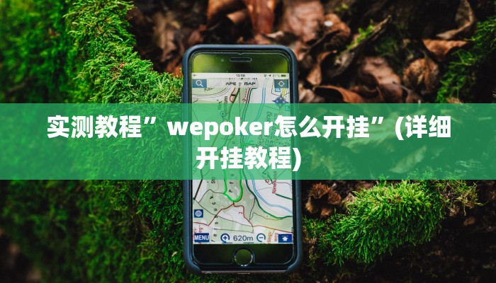 开挂辅助工具“镇雄关春天开挂一神器”详细开挂教程
