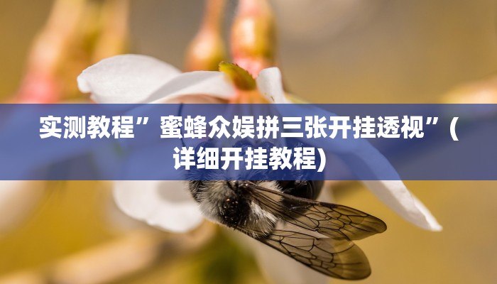 实测教程”天庭娱乐是不是有挂”确实真的有挂