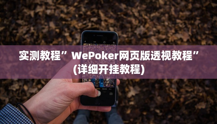 实测教程”wepoker俱乐部透视挂作弊辅助方法”确实真的有挂