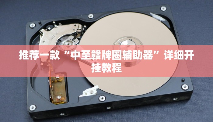 实测教程”多乐跑胡子开挂”确实真的有挂