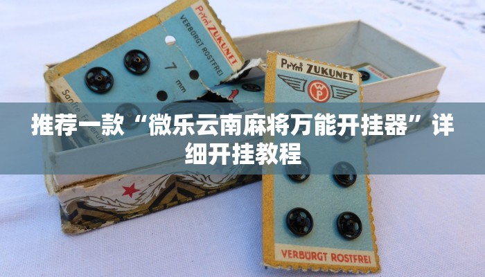 实测教程”新版WepOKer透视挂使用教程”确实真的有挂