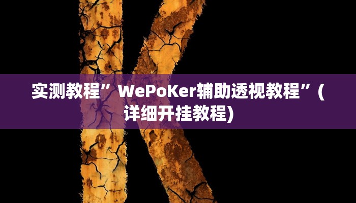 实测教程”青鸟大厅拼三张透视挂”确实真的有挂