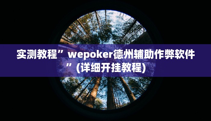 辅助神器“懒人斗十四确实真的有挂”其实确实有挂