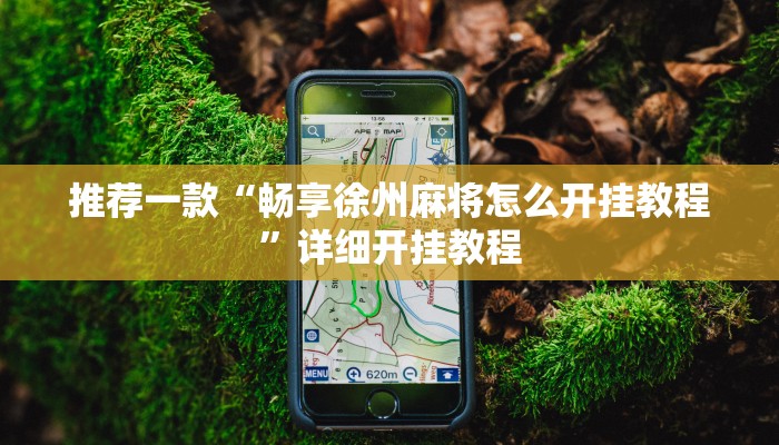 开挂辅助工具“福州十八扑下载安装方法”其实确实有挂
