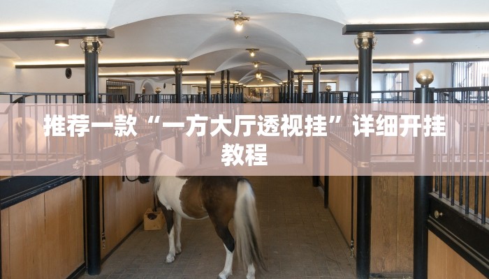 实测辅助”杭州麻将开挂方法”详细开挂教程