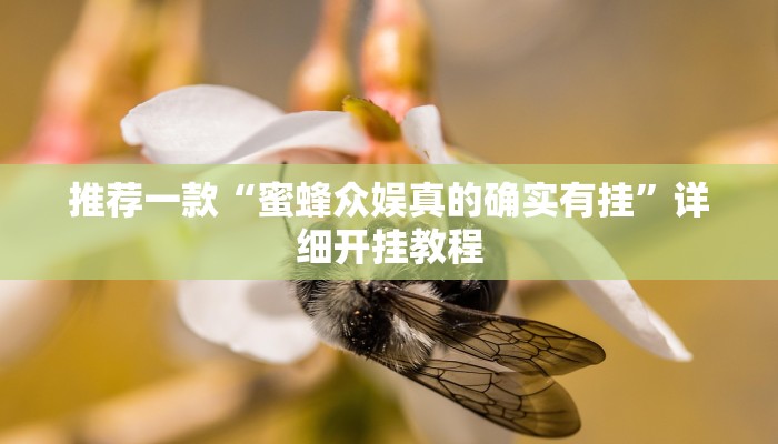 实测教程”七彩佬腌菜辅助开挂”确实真的有挂