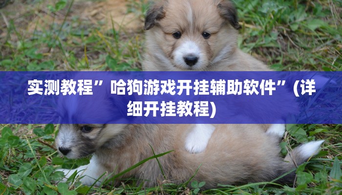 实测辅助”起点休闲辅助神器”详细开挂教程