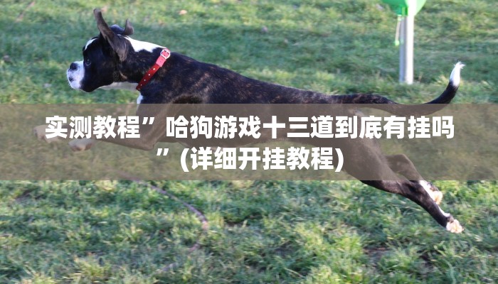 实测教程”欢乐棋牌开挂控制好牌器”确实真的有挂