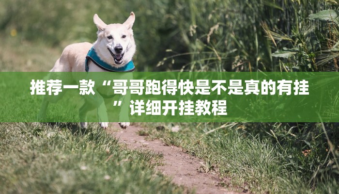 实测教程”越乡游义乌麻将确实真的有挂”确实真的有挂