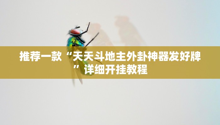 实测教程”wepoker万能用挂开挂软件”确实真的有挂
