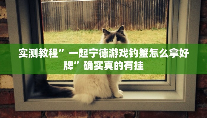 实测辅助”微乐吉林麻将免费开挂神器”其实确实有挂