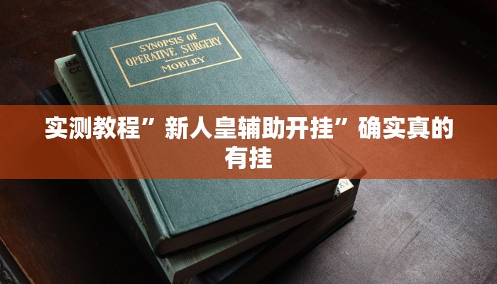 实测教程”德州wepoker作弊辅助透视”确实真的有挂