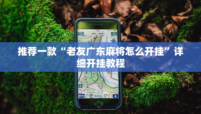 实测辅助”闽游十三水开挂”其实确实有挂