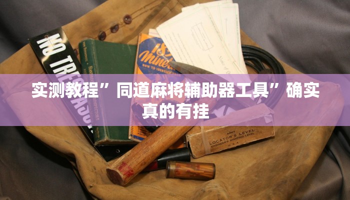 实测教程”AApoker德州局透视挂透视”确实真的有挂