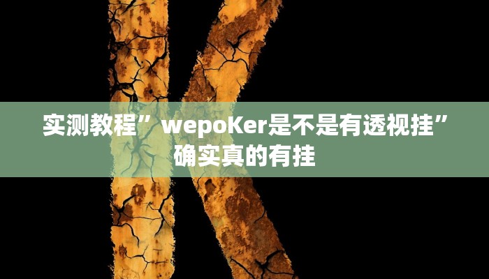 开挂辅助工具“雅苑蕲春麻将怎么开挂呢”详细开挂教程