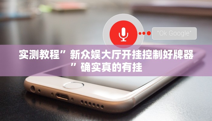 辅助神器“微乐保皇开挂教程”详细开挂教程